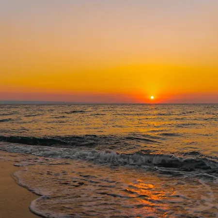 Elpida  Golden Sands